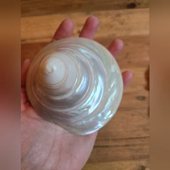 MERMAID LOVE BUNDLE - MERMAID METAL HOOK, MERMAID DECOR SIGN, & PEARL SHELL - Picture 8 of 8